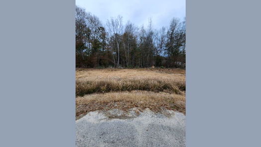 Cleveland null-story, null-bed 12217 County Road 37497-idx
