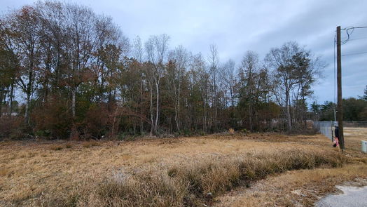 Cleveland null-story, null-bed 12217 County Road 37497-idx