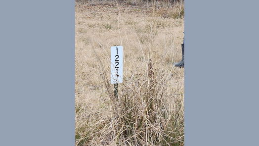Cleveland null-story, null-bed 12217 County Road 37497-idx