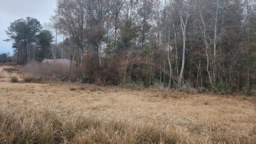 Cleveland null-story, null-bed 12217 County Road 37497-idx