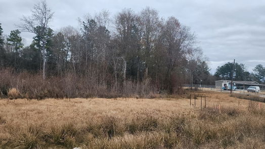 Cleveland null-story, null-bed 12217 County Road 37497-idx