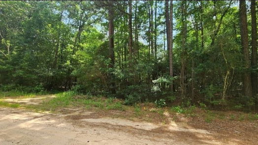 Cleveland null-story, null-bed TBD ROAD 2681-idx