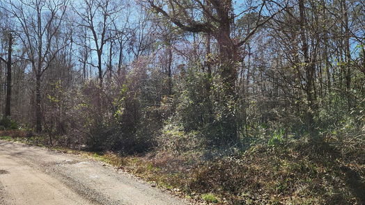 Cleveland null-story, null-bed 000 County Road 3774-idx