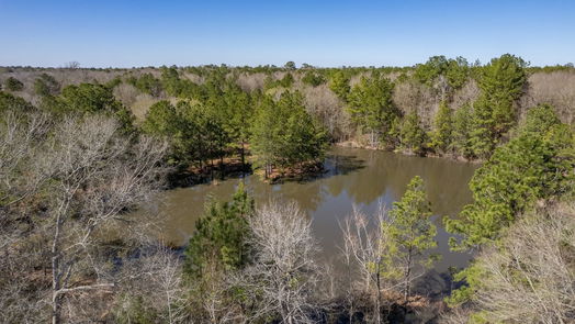 Cleveland null-story, null-bed TBD County Road 3373-idx