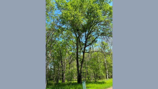 Cleveland null-story, null-bed 0000 County Road 2850-idx