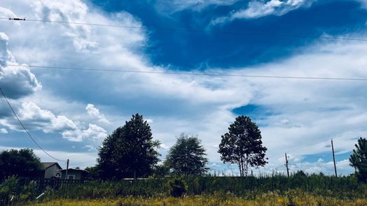 Cleveland null-story, null-bed 662 County Road 3565-idx