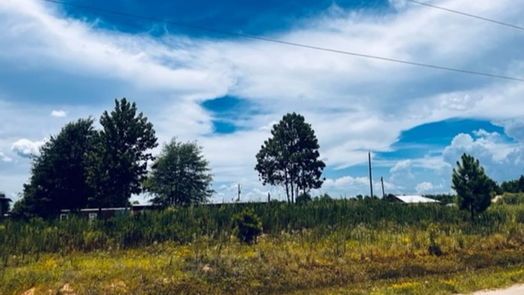 Cleveland null-story, null-bed 662 County Road 3565-idx