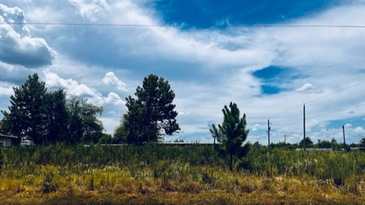 Cleveland null-story, null-bed 662 County Road 3565-idx