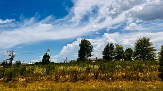 Cleveland null-story, null-bed 662 County Road 3565-idx
