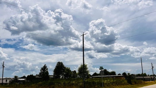 Cleveland null-story, null-bed 662 County Road 3565-idx