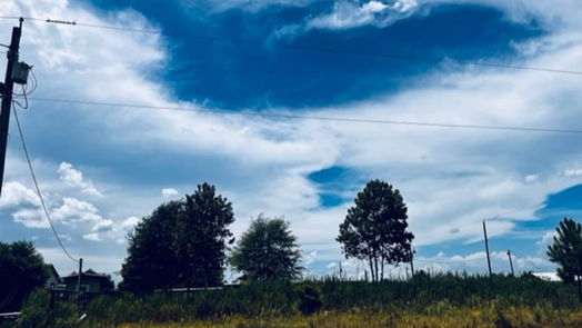 Cleveland null-story, null-bed 662 County Road 3565-idx