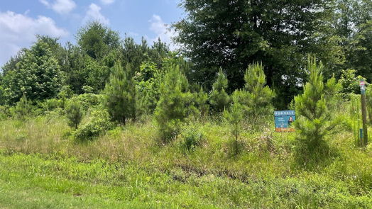 Cleveland null-story, null-bed 337 County Road 3572-idx