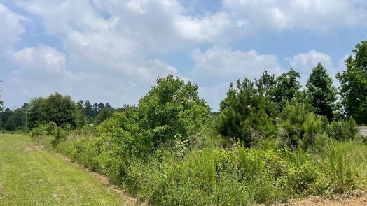 Cleveland null-story, null-bed 337 County Road 3572-idx