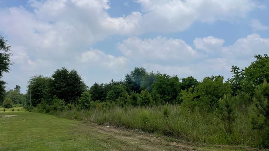 Cleveland null-story, null-bed 337 County Road 3572-idx