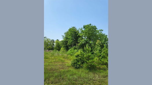 Cleveland null-story, null-bed 898 County Road 5003-idx