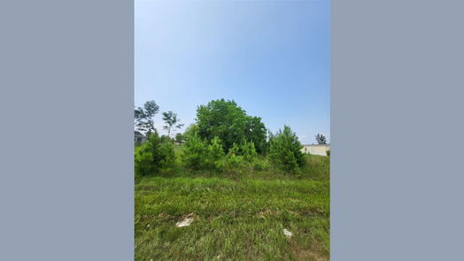 Cleveland null-story, null-bed 898 County Road 5003-idx