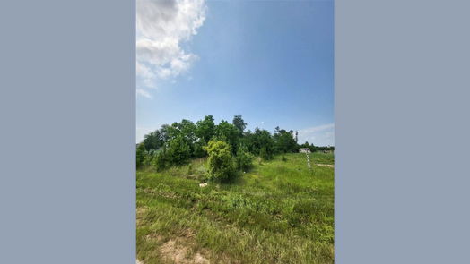 Cleveland null-story, null-bed 898 County Road 5003-idx