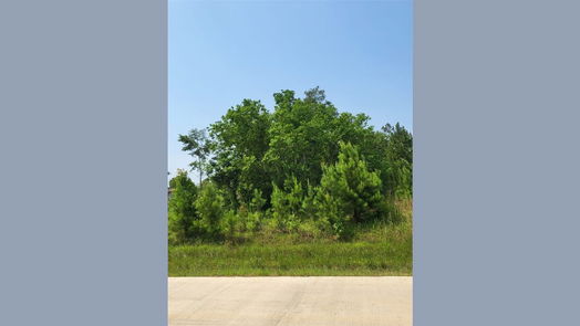 Cleveland null-story, null-bed 898 County Road 5003-idx