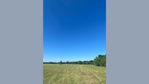 Cleveland null-story, null-bed TBD Lot 186 Cyprus Lake Drive-idx