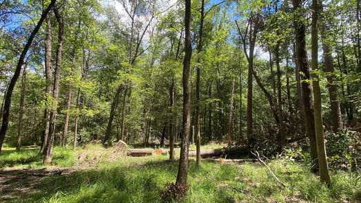 Cleveland 1-story, 3-bed 996 County Road 2145-idx