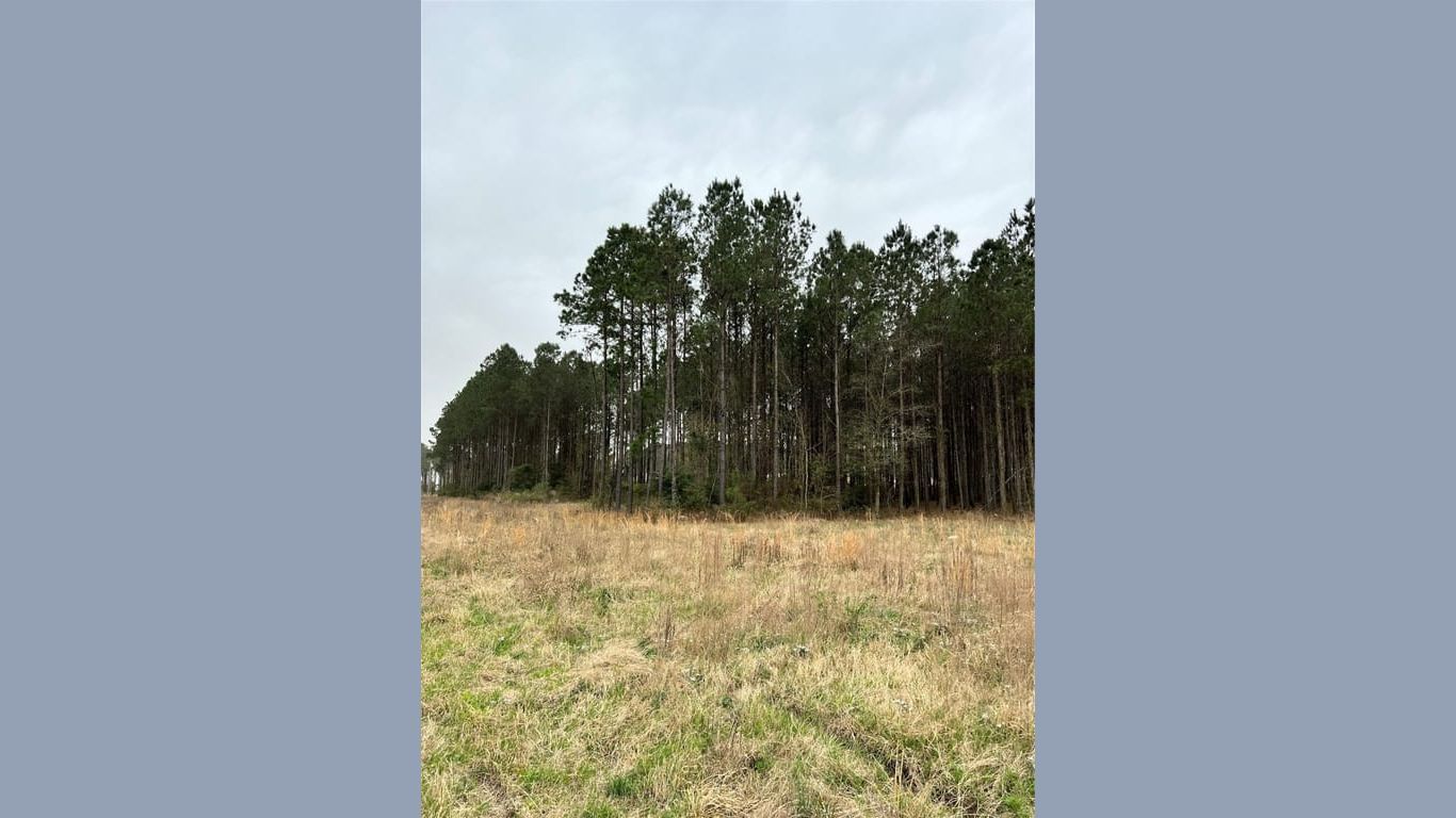 Cleveland null-story, null-bed 1670 County Road 3560-idx