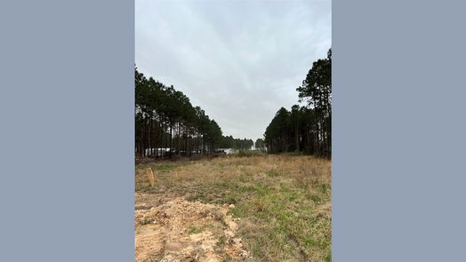 Cleveland null-story, null-bed 1682 County Road 3560-idx