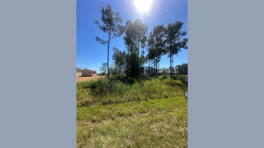 Cleveland null-story, null-bed 662 County Road 3545-idx