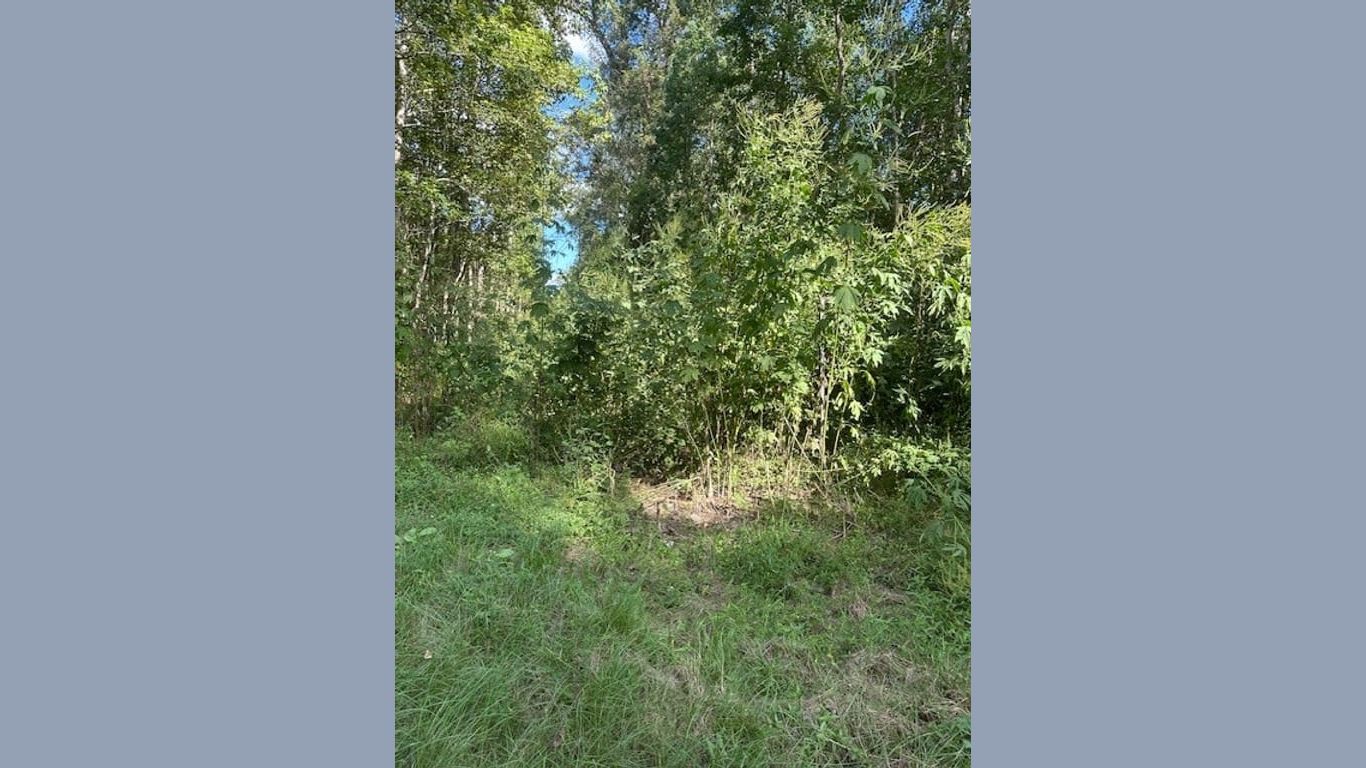 Cleveland null-story, null-bed TBD CR 2166 Teresa Ln Lane-idx