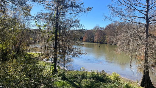Cleveland 1-story, 0-bed 260 County Road 2867-idx