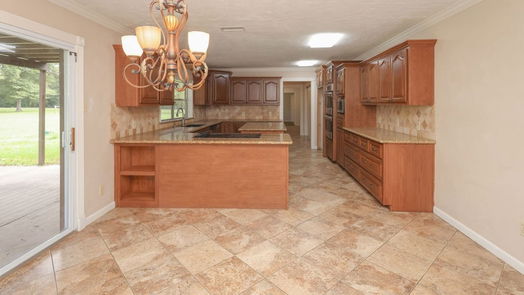 Cleveland 2-story, 6-bed 10316 Rice Road-idx