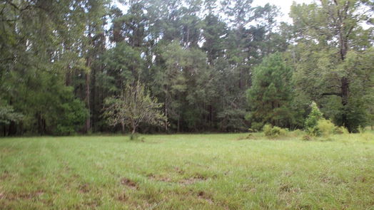 Cleveland null-story, null-bed 15780 Fm 1725 Road-idx