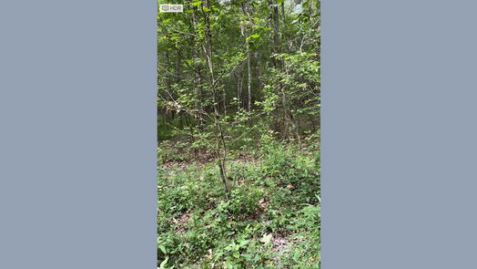 Cleveland null-story, null-bed TBD South Moody Lane-idx