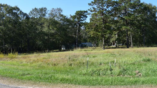 Cleveland null-story, 3-bed 185 County Road 3802-idx