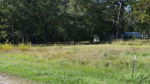 Cleveland null-story, 3-bed 185 County Road 3802-idx