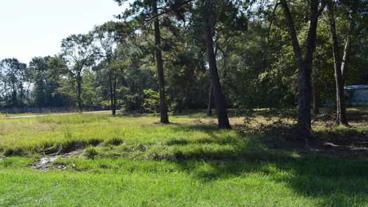Cleveland null-story, 3-bed 185 County Road 3802-idx