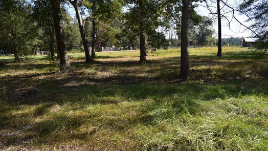 Cleveland null-story, 3-bed 185 County Road 3802-idx