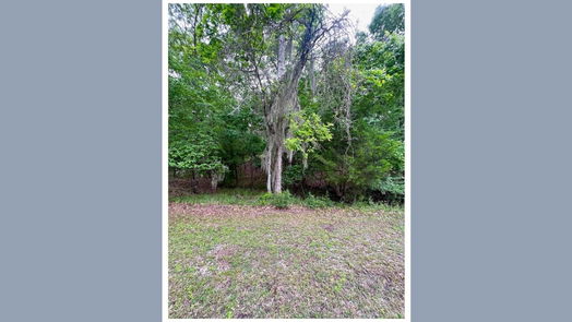 Coldspring null-story, null-bed 105 S Pine Harbour Drive-idx
