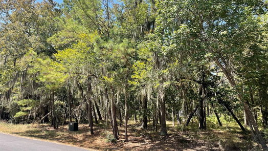 Coldspring null-story, null-bed 29 Walnut Point Drive-idx