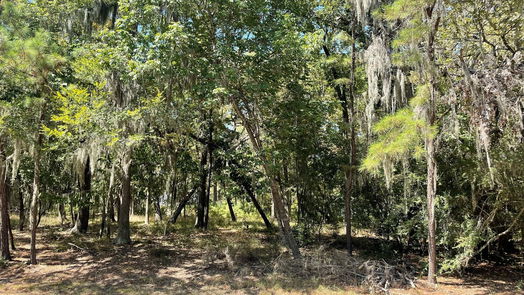 Coldspring null-story, null-bed 29 Walnut Point Drive-idx