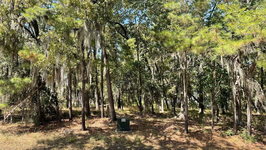 Coldspring null-story, null-bed 29 Walnut Point Drive-idx