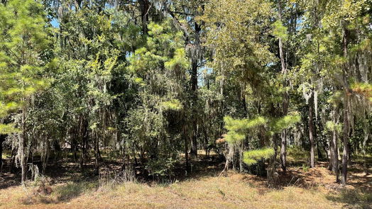 Coldspring null-story, null-bed 29 Walnut Point Drive-idx