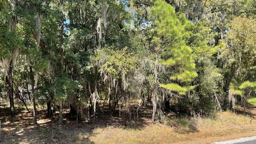 Coldspring null-story, null-bed 29 Walnut Point Drive-idx