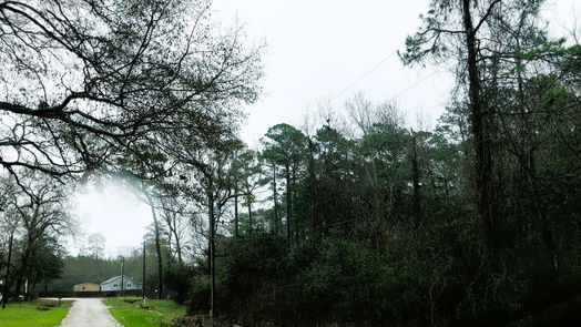 Coldspring null-story, null-bed Lot 10 Davey Lane SW-idx
