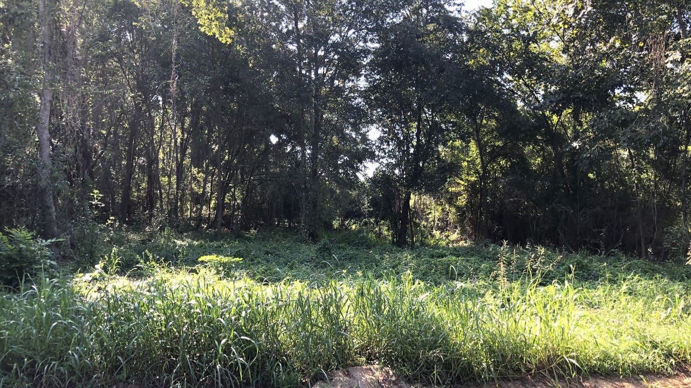 Coldspring null-story, null-bed Lot 10 Davey Lane SW-idx