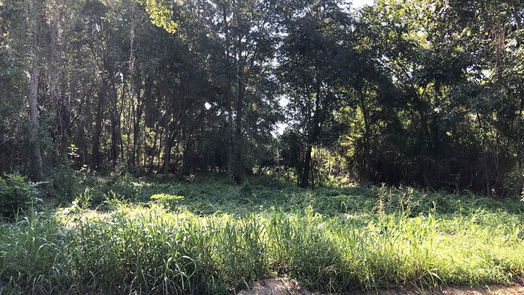 Coldspring null-story, null-bed Lot 10 Davey Lane SW-idx