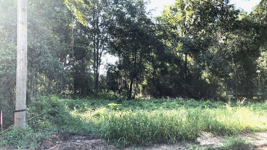 Coldspring null-story, null-bed Lot 10 Davey Lane SW-idx
