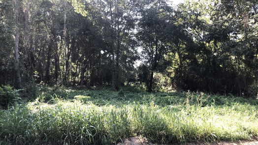 Coldspring null-story, null-bed Lot 10 Davey Lane SW-idx