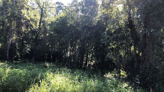Coldspring null-story, null-bed Lot 10 Davey Lane SW-idx