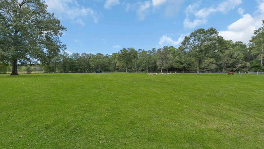 Coldspring 1-story, 2-bed 851 Freeside Lane-idx