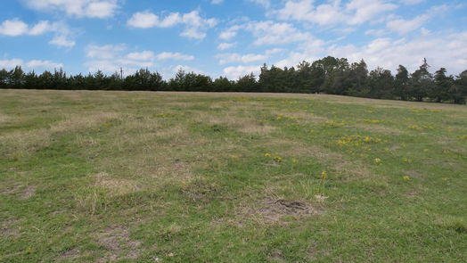 Coldspring null-story, null-bed TBD Padgett Road-idx